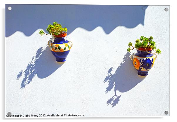 Hanging pots Acrylic by Digby Merry