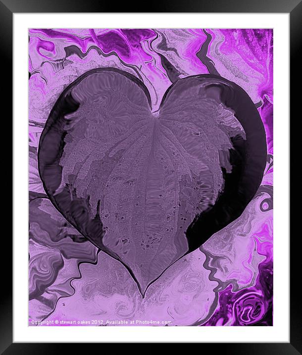 love purple Framed Mounted Print by stewart oakes