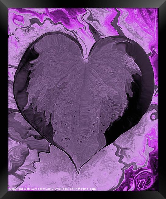 love purple Framed Print by stewart oakes
