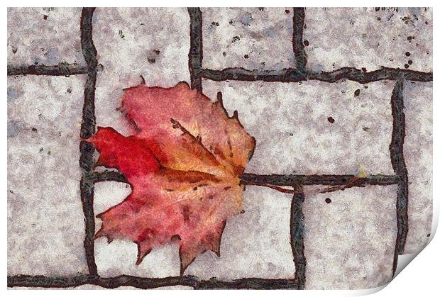 Autumn Still Life Print by Michael Goyberg