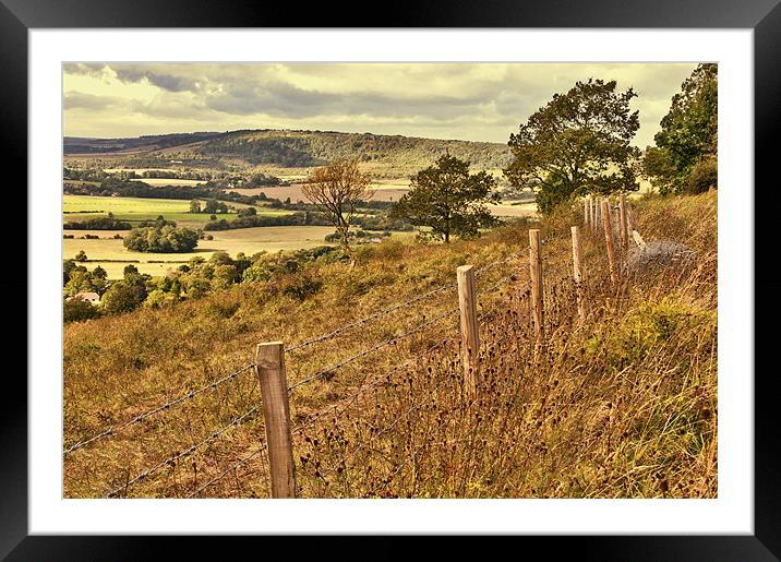 Over the Fence Framed Mounted Print by Dawn Cox
