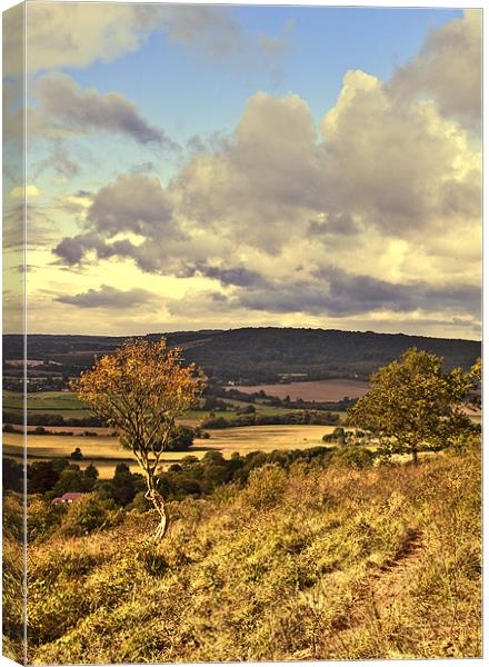 View over the North Downs Canvas Print by Dawn Cox