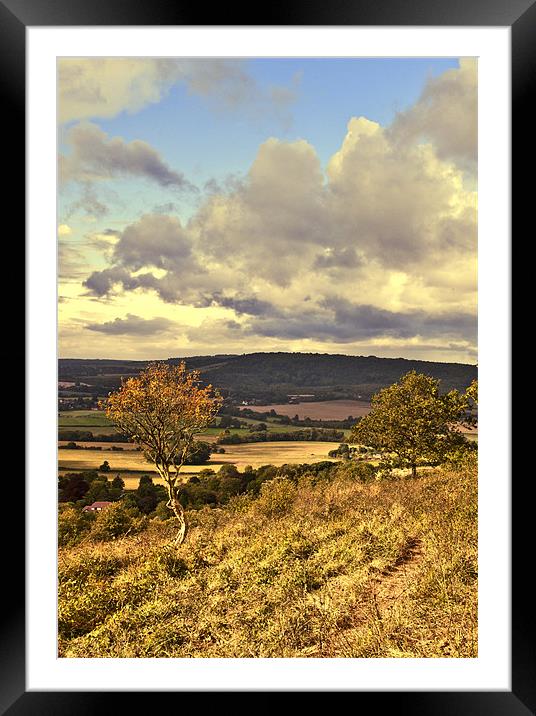 View over the North Downs Framed Mounted Print by Dawn Cox