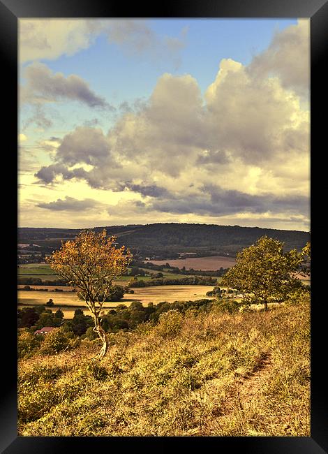 View over the North Downs Framed Print by Dawn Cox