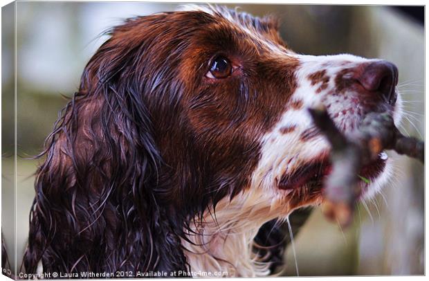 Wet Dog Canvas Print by Laura Witherden