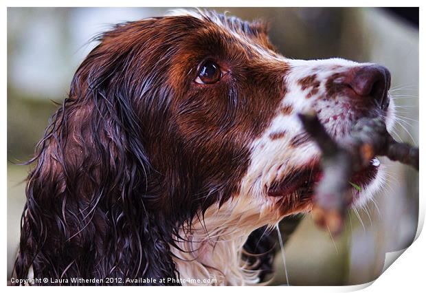 Wet Dog Print by Laura Witherden