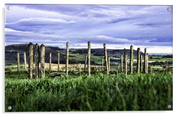 Woodhenge Acrylic by Fraser Hetherington