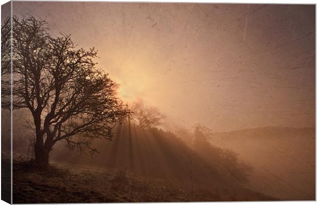 Misty Morning on The Weald Canvas Print by Dawn Cox