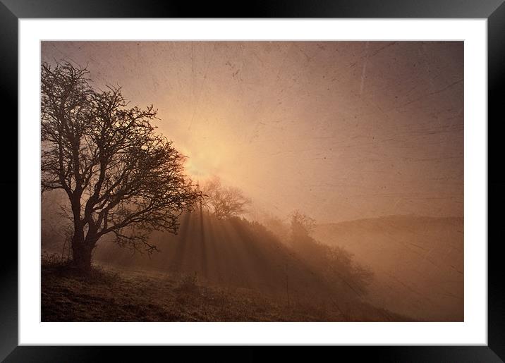 Misty Morning on The Weald Framed Mounted Print by Dawn Cox