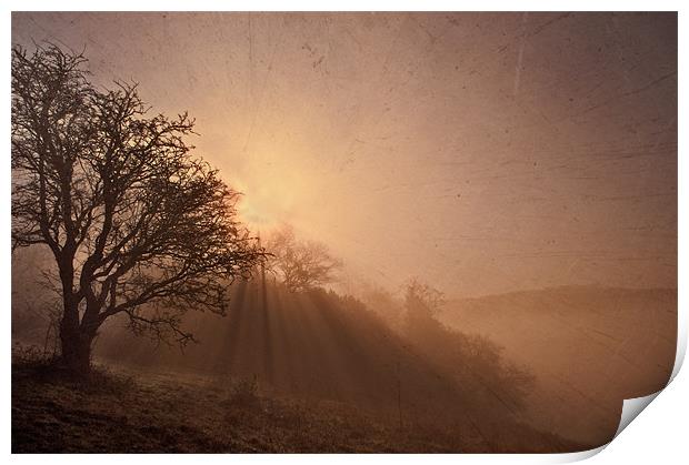 Misty Morning on The Weald Print by Dawn Cox