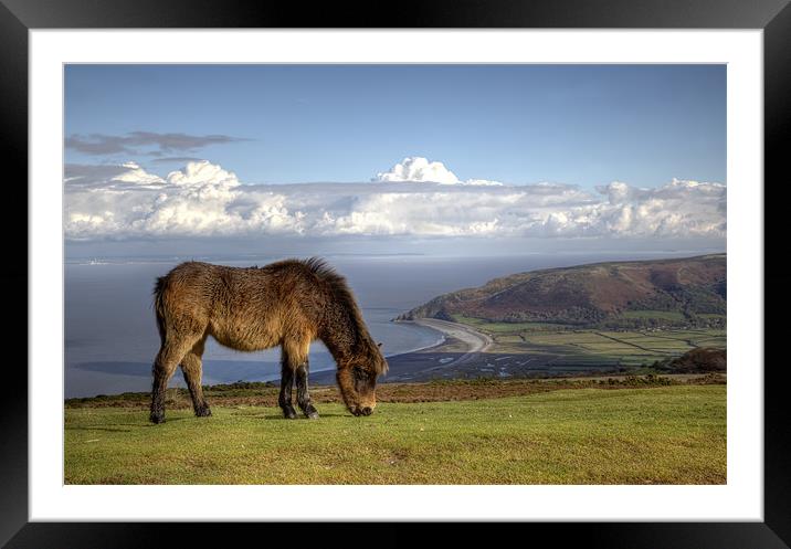 Exmoor Pony over Bossington Beach to Wales Framed Mounted Print by Mike Gorton