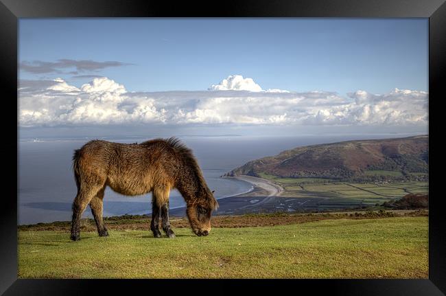 Exmoor Pony over Bossington Beach to Wales Framed Print by Mike Gorton