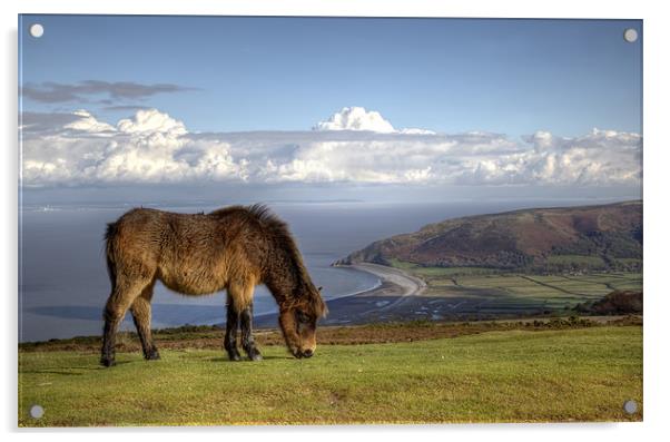 Exmoor Pony over Bossington Beach to Wales Acrylic by Mike Gorton