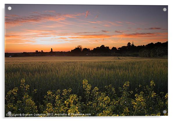 Summer Field Acrylic by Graham Custance