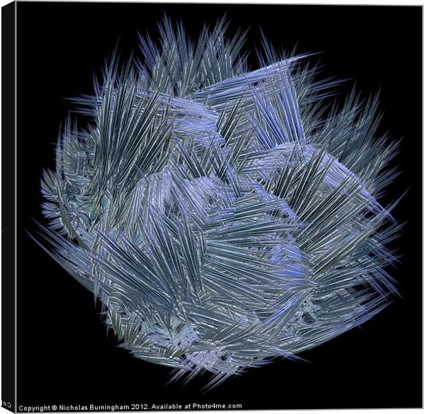 Fractal glass shards Canvas Print by Nicholas Burningham