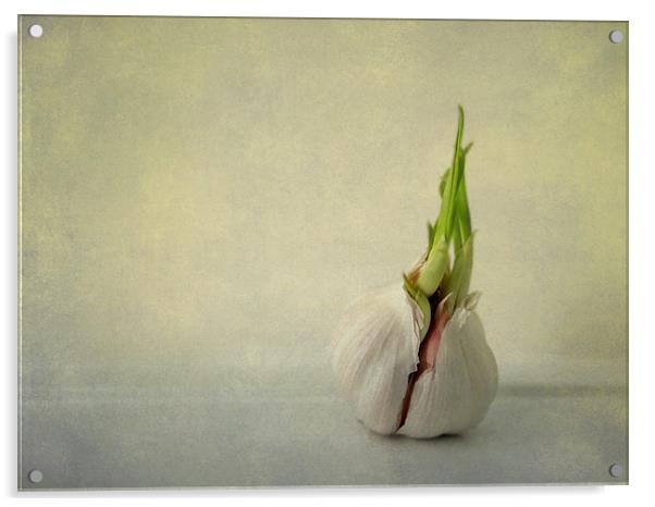 green shoots and garlic Acrylic by Heather Newton