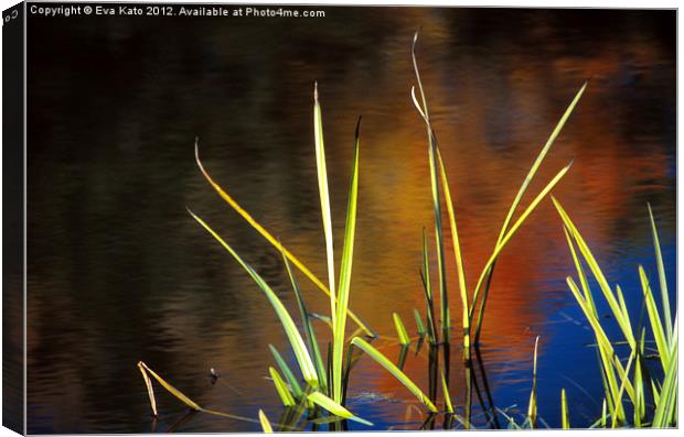 Reeds in Fall Canvas Print by Eva Kato