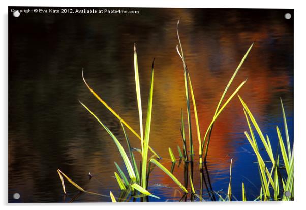 Reeds in Fall Acrylic by Eva Kato