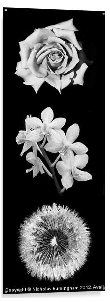 Three Flowers Acrylic by Nicholas Burningham