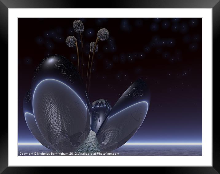 Alien Flower Framed Mounted Print by Nicholas Burningham