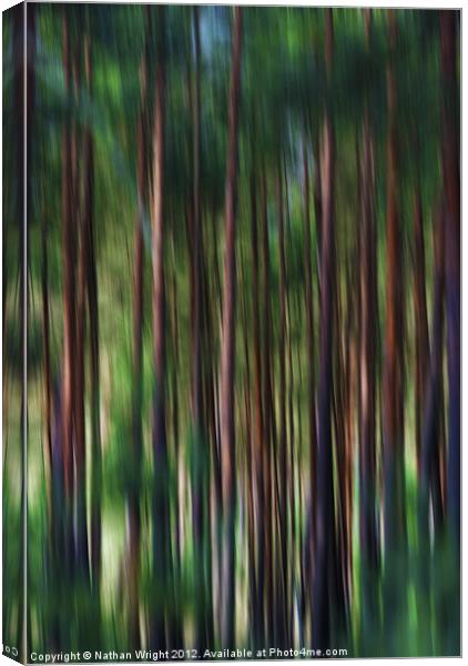 Forest blur Canvas Print by Nathan Wright
