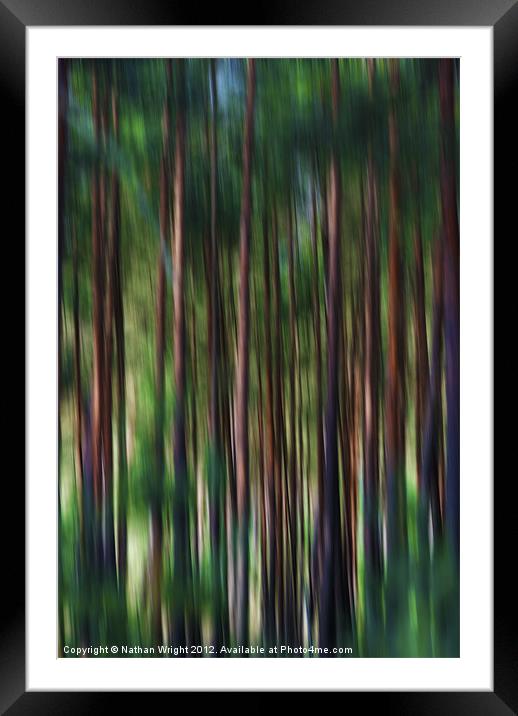 Forest blur Framed Mounted Print by Nathan Wright