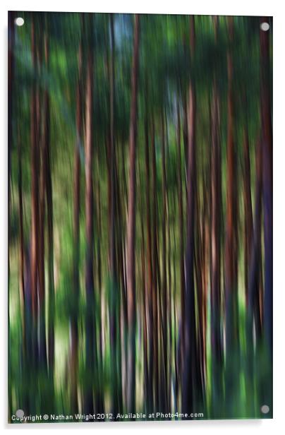 Forest blur Acrylic by Nathan Wright