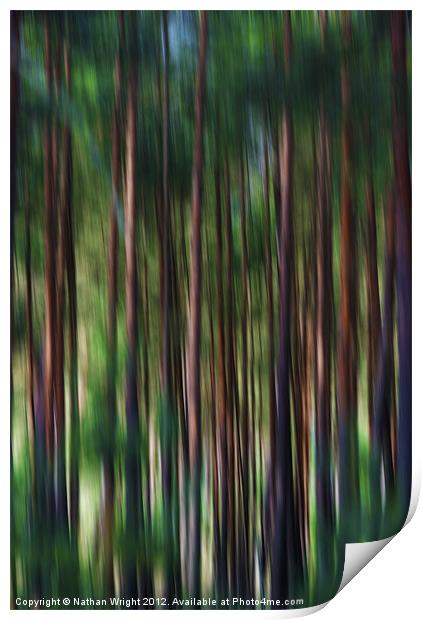 Forest blur Print by Nathan Wright