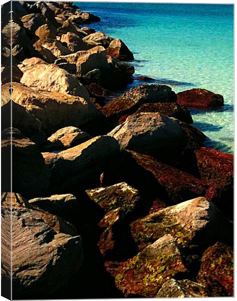 Paradise from the jetty Canvas Print by Susan Medeiros