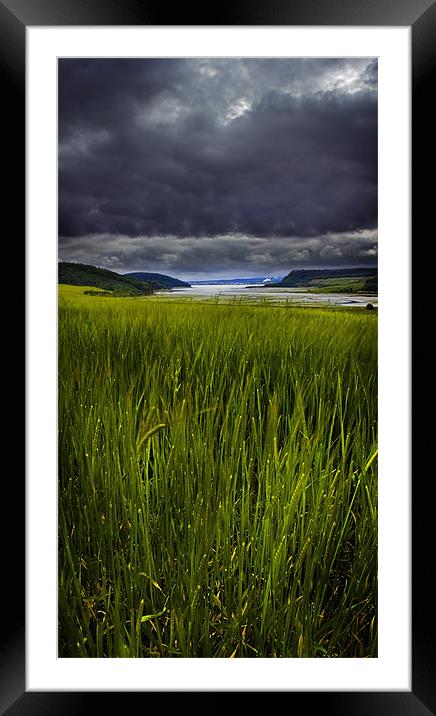 Munlochy bay Framed Mounted Print by Macrae Images