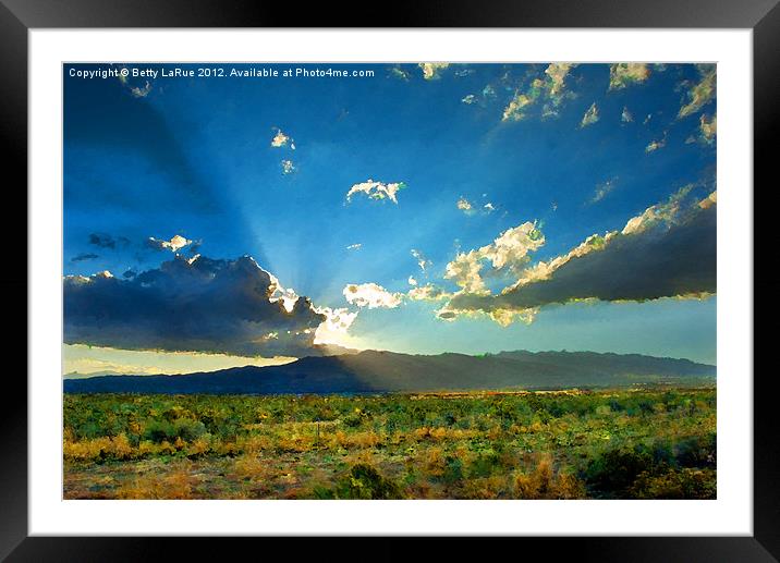 The Beauty of the American Desert Framed Mounted Print by Betty LaRue
