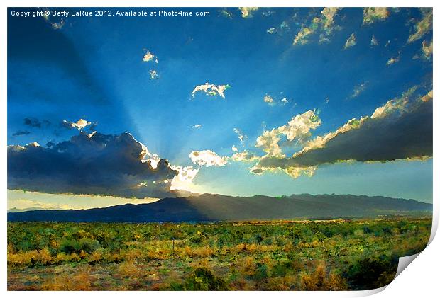 The Beauty of the American Desert Print by Betty LaRue