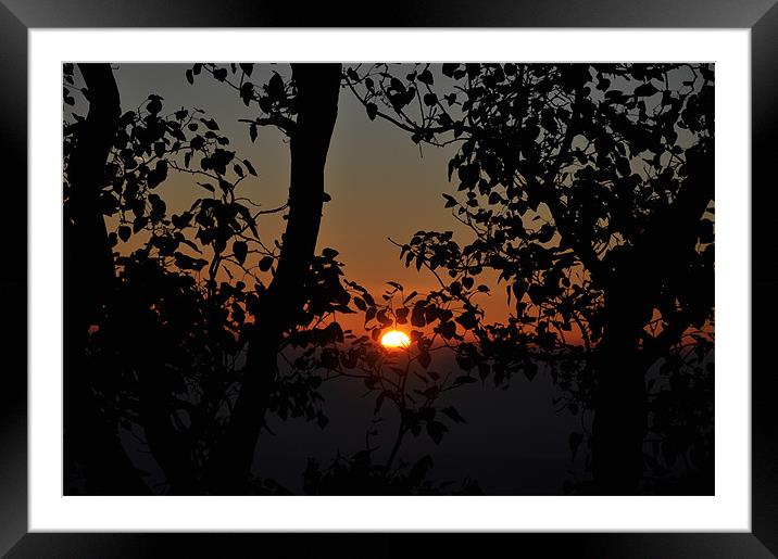 Sunrise in Amarkantak Framed Mounted Print by