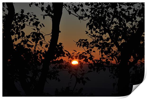 Sunrise in Amarkantak Print by