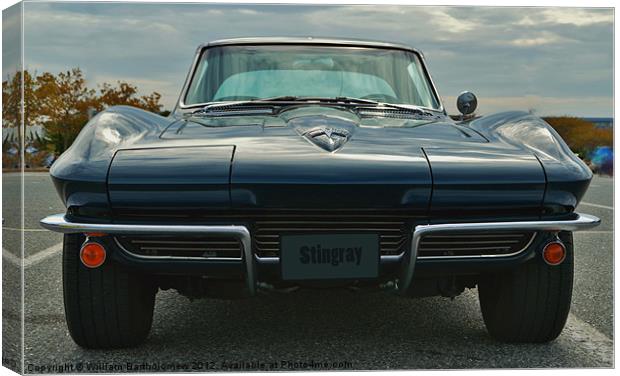 Stingray an American Classic Canvas Print by Beach Bum Pics