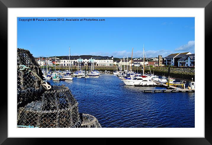 Aberystwyth Marina (Y Lanfa) Framed Mounted Print by Paula J James