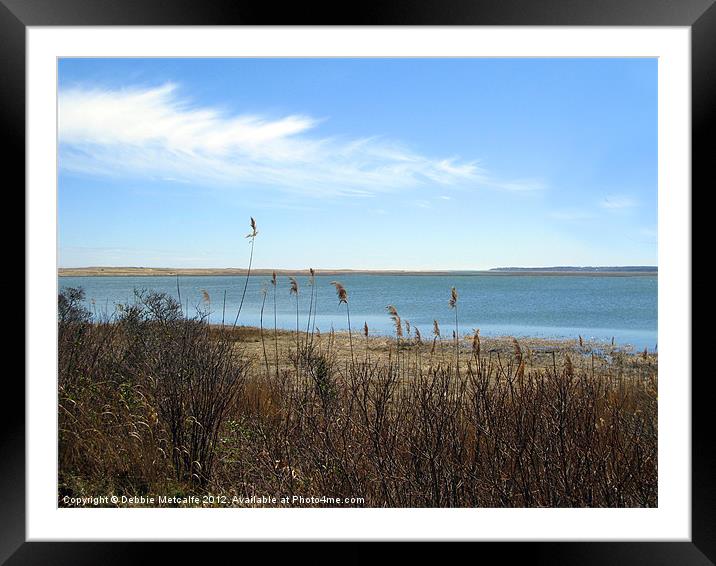 Peace and tranquility Framed Mounted Print by Debbie Metcalfe