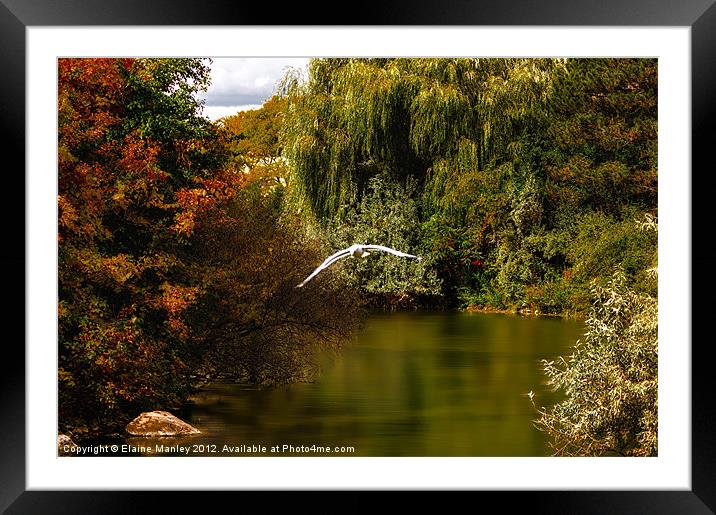 Autumn Lagoon Framed Mounted Print by Elaine Manley
