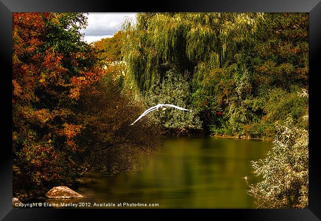 Autumn Lagoon Framed Print by Elaine Manley