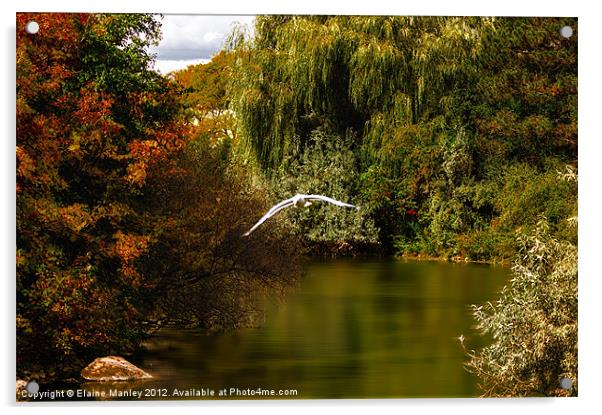 Autumn Lagoon Acrylic by Elaine Manley