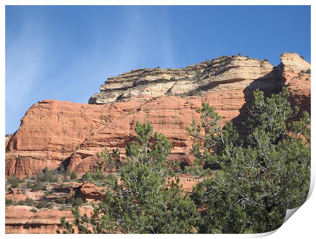 Boynton Canyon, Sedona, Arizona Print by Lori Allan