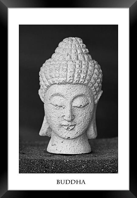 Buddha Framed Print by Zoe Ferrie