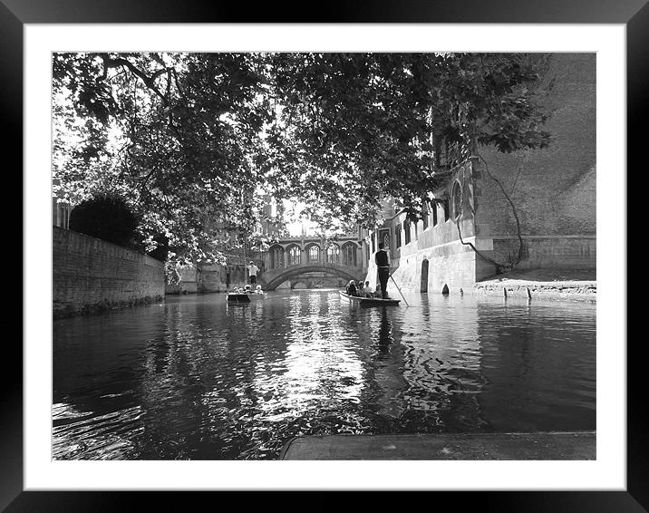 The River Cam, Cambridge Framed Mounted Print by ricky rowland