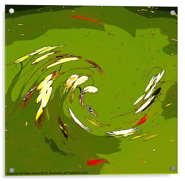 Lilies and Carp Acrylic by Digby Merry