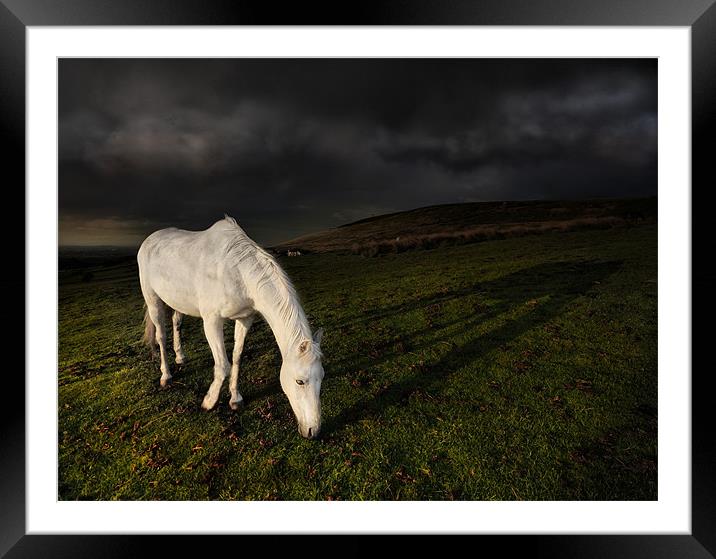 The white horse Framed Mounted Print by Robert Fielding