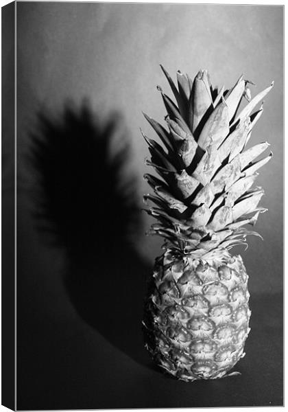pineapple shaddow Canvas Print by kay hardy
