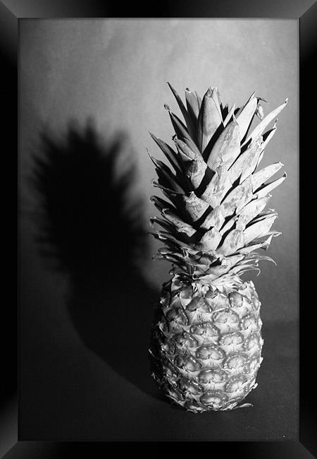 pineapple shaddow Framed Print by kay hardy