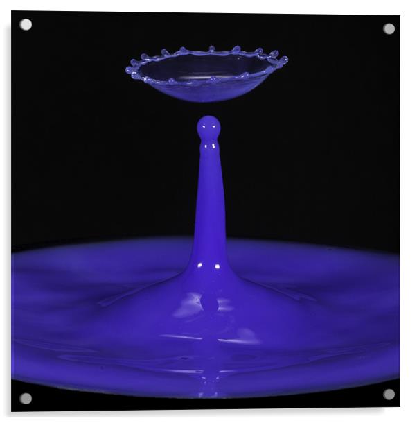 Purple Splash Acrylic by Carl Floodgate