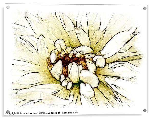Chrysanthemum Acrylic by Fiona Messenger