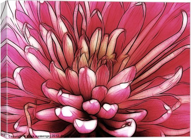 Red Chrysanthemum Canvas Print by Fiona Messenger